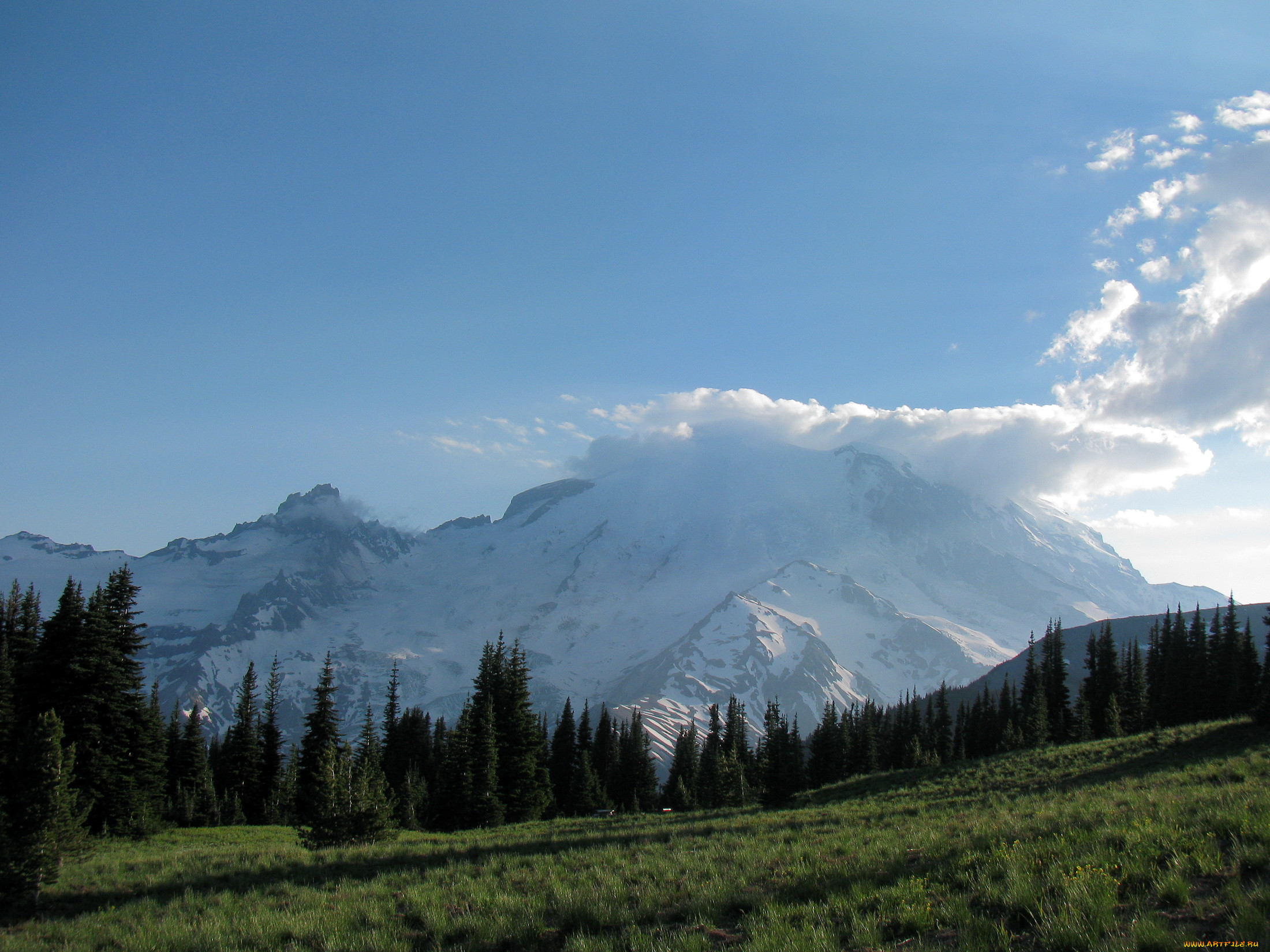 , , washington, usa, mount, rainier